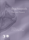 Brachiopods - eBook