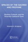 Spaces of the Sacred and Profane : Dickens, Trollope, and the Victorian Cathedral Town - eBook