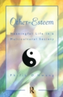 Other Esteem : Meaningful Life in a Multicultural Society - eBook