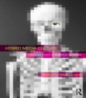 Hybrid Media Culture : Sensing Place in a World of Flows - eBook