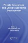 Private Enterprises and China's Economic Development - eBook