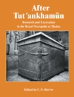 After Tutankhamun - eBook