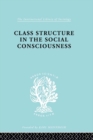 Class Structure in the Social Consciousness - eBook