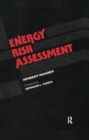 Energy Risk Assessment - eBook