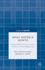 What Water is Worth : Overlooked Non-Economic Value in Water Resources - eBook