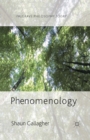Phenomenology - eBook