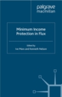 Minimum Income Protection in Flux - eBook