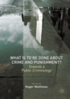 What is to Be Done About Crime and Punishment? : Towards a 'Public Criminology' - eBook