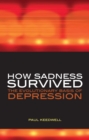 How Sadness Survived : The Evolutionary Basis of Depression - eBook