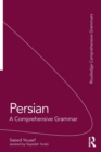 Persian : A Comprehensive Grammar - Book