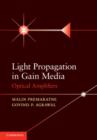 Light Propagation in Gain Media : Optical Amplifiers - eBook