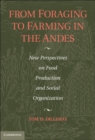 From Foraging to Farming in the Andes : New Perspectives on Food Production and Social Organization - eBook