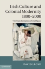 Irish Culture and Colonial Modernity 1800-2000 : The Transformation of Oral Space - eBook