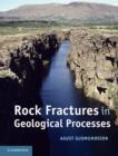 Rock Fractures in Geological Processes - eBook