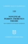 Nonlinear Perron-Frobenius Theory - eBook