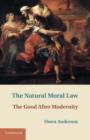 Natural Moral Law : The Good after Modernity - eBook
