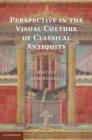 Perspective in the Visual Culture of Classical Antiquity - eBook