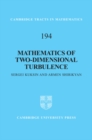 Mathematics of Two-Dimensional Turbulence - eBook