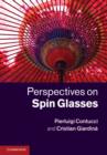 Perspectives on Spin Glasses - eBook