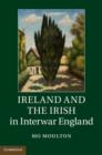 Ireland and the Irish in Interwar England - eBook