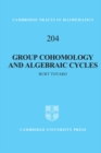 Group Cohomology and Algebraic Cycles - eBook