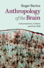 Anthropology of the Brain : Consciousness, Culture, and Free Will - eBook