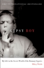 Gypsy Boy : My Life in the Secret World of the Romany Gypsies - eBook