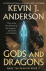 Gods and Dragons: Wake the Dragon Book 3 - Book