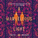 A Marvellous Light - eAudiobook