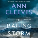 The Raging Storm : A Detective Matthew Venn Novel - eAudiobook
