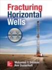 Fracturing Horizontal Wells - eBook