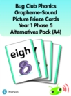 Bug Club Phonics Grapheme-Sound Picture Frieze Cards Year 1 Phase 5 alternatives (A4) - Book