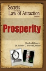 Prosperity : Secrets to the Law of Attraction - eBook