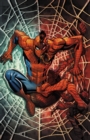 Savage Spider-man - Book
