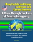 Drug Cartels and Gangs in Mexico and Central America: A View Through the Lens of Counterinsurgency - Mexican Cartels, COIN Doctrine, Colombia's Insurgency, Drug Trafficking Organizations (DTOs) - eBook