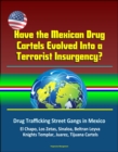 Have the Mexican Drug Cartels Evolved Into a Terrorist Insurgency? Drug Trafficking Street Gangs in Mexico, El Chapo, Los Zetas, Sinaloa, Beltran Leyva, Knights Templar, Juarez, Tijuana Cartels - eBook