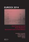 Rock Engineering and Rock Mechanics: Structures in and on Rock Masses - eBook