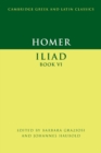 Homer: Iliad Book VI - eBook