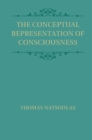 Conceptual Representation of Consciousness - eBook