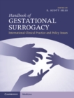Handbook of Gestational Surrogacy : International Clinical Practice and Policy Issues - eBook