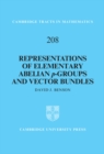 Representations of Elementary Abelian p-Groups and Vector Bundles - eBook