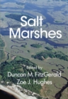 Salt Marshes : Function, Dynamics, and Stresses - eBook