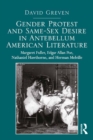 Gender Protest and Same-Sex Desire in Antebellum American Literature : Margaret Fuller, Edgar Allan Poe, Nathaniel Hawthorne, and Herman Melville - eBook