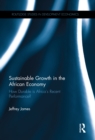 Sustainable Growth in the African Economy : How Durable is Africa’s Recent Performance? - eBook