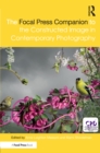The Focal Press Companion to the Constructed Image in Contemporary Photography - eBook