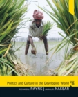 Politics and Culture in the Developing World - eBook