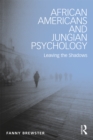 African Americans and Jungian Psychology : Leaving the Shadows - eBook