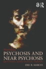Psychosis and Near Psychosis : Ego Function, Symbol Structure, Treatment - eBook