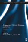 Employment Policy in Emerging Economies : The Indian Case - eBook