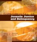 Controversies in Juvenile Justice and Delinquency - eBook